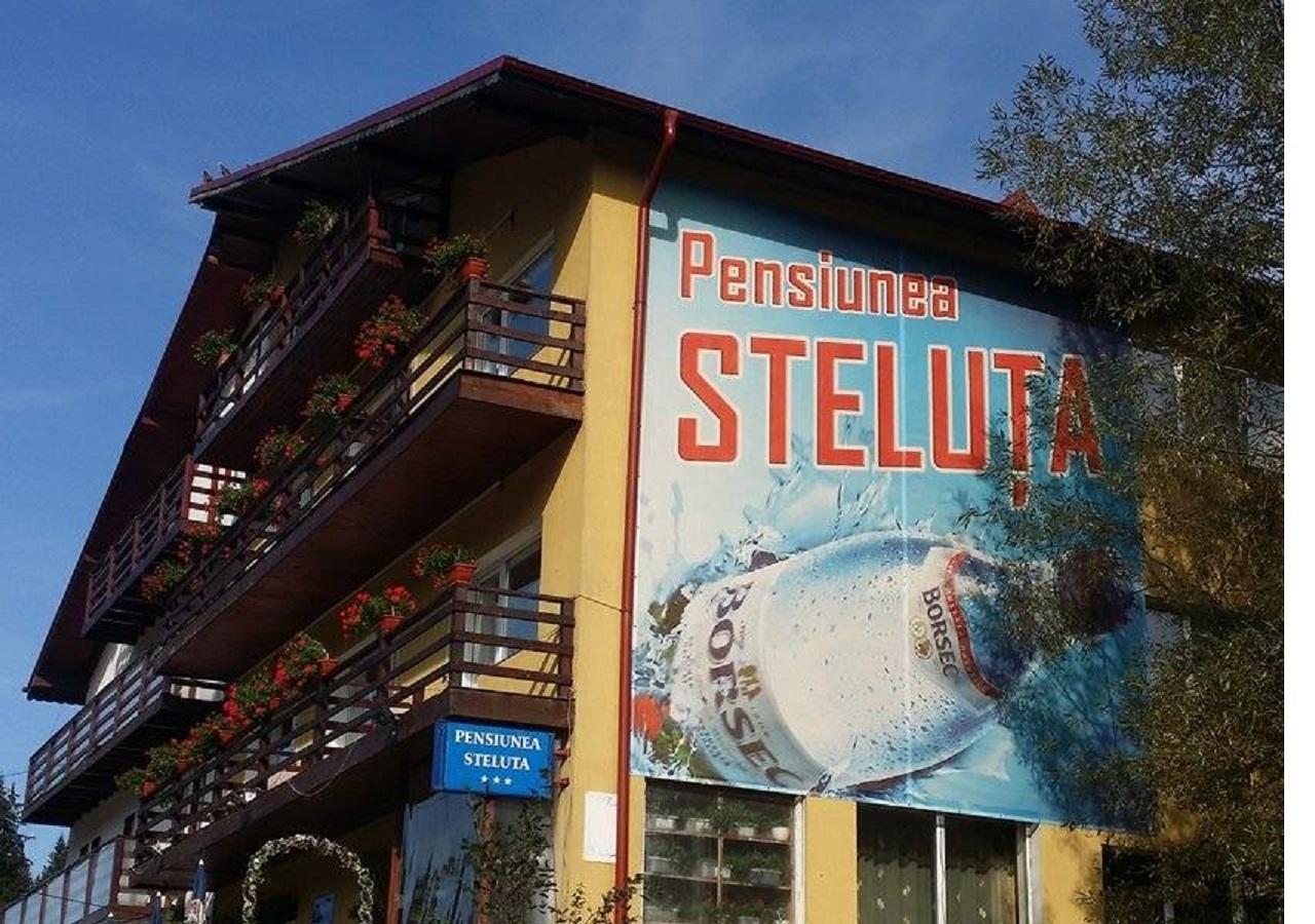 Pensiunea Steluta Predeal Zewnętrze zdjęcie